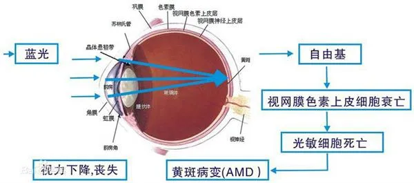 忽悠我？大黄屏的夜间模式为啥能护眼