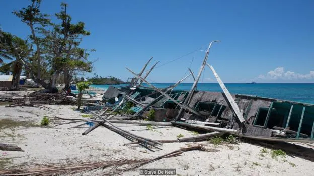 台风“海燕”过去三年 鲨鱼帮忙重建小岛家园