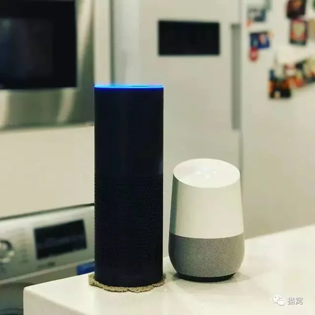 Google Home或Amazon Echo值得买吗？