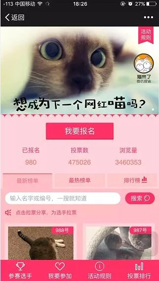 第一网红喵如何炼成：“猫来了”20万粉丝养成记