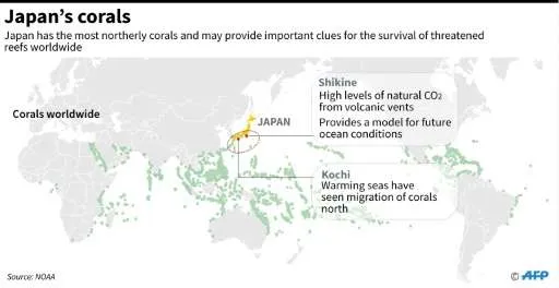 日本火山岛海水中或存在拯救珊瑚礁秘方