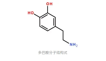 可能是多巴胺的问题