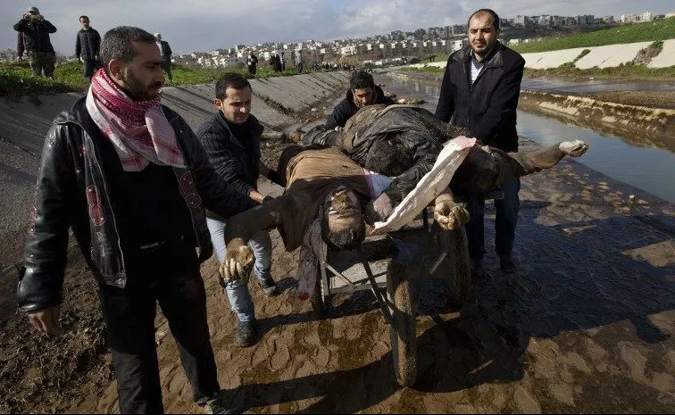 叙利亚排水沟惊现80具爆头尸体