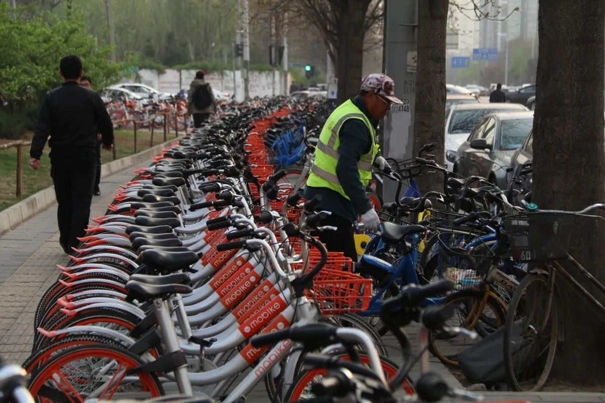 在望京SOHO观察了一下午的共享单车，结果……