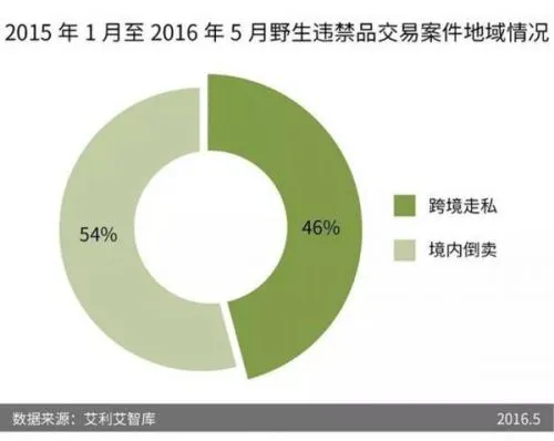 野生动物网络交易增至四成 爱地球请从拒绝杀戮开始