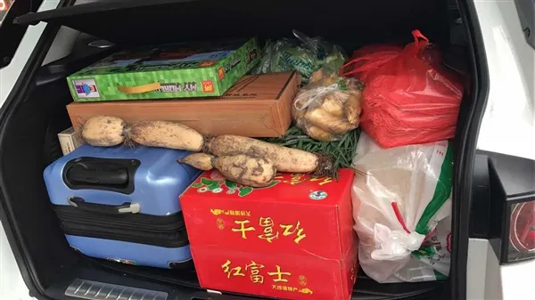 网友晒春节返程行李箱：画面看哭