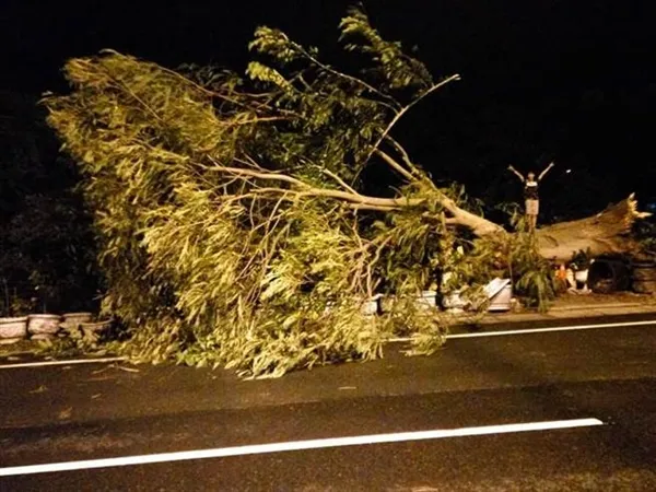 台风登陆台湾风速破表：大楼吹得“像地震”