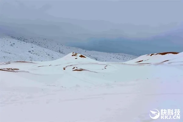 美呆了！撒哈拉沙漠罕见暴雪：部分地区积雪深1米