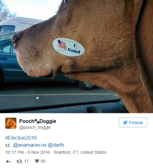 [图]美国选民让宠物代晒“投票照”