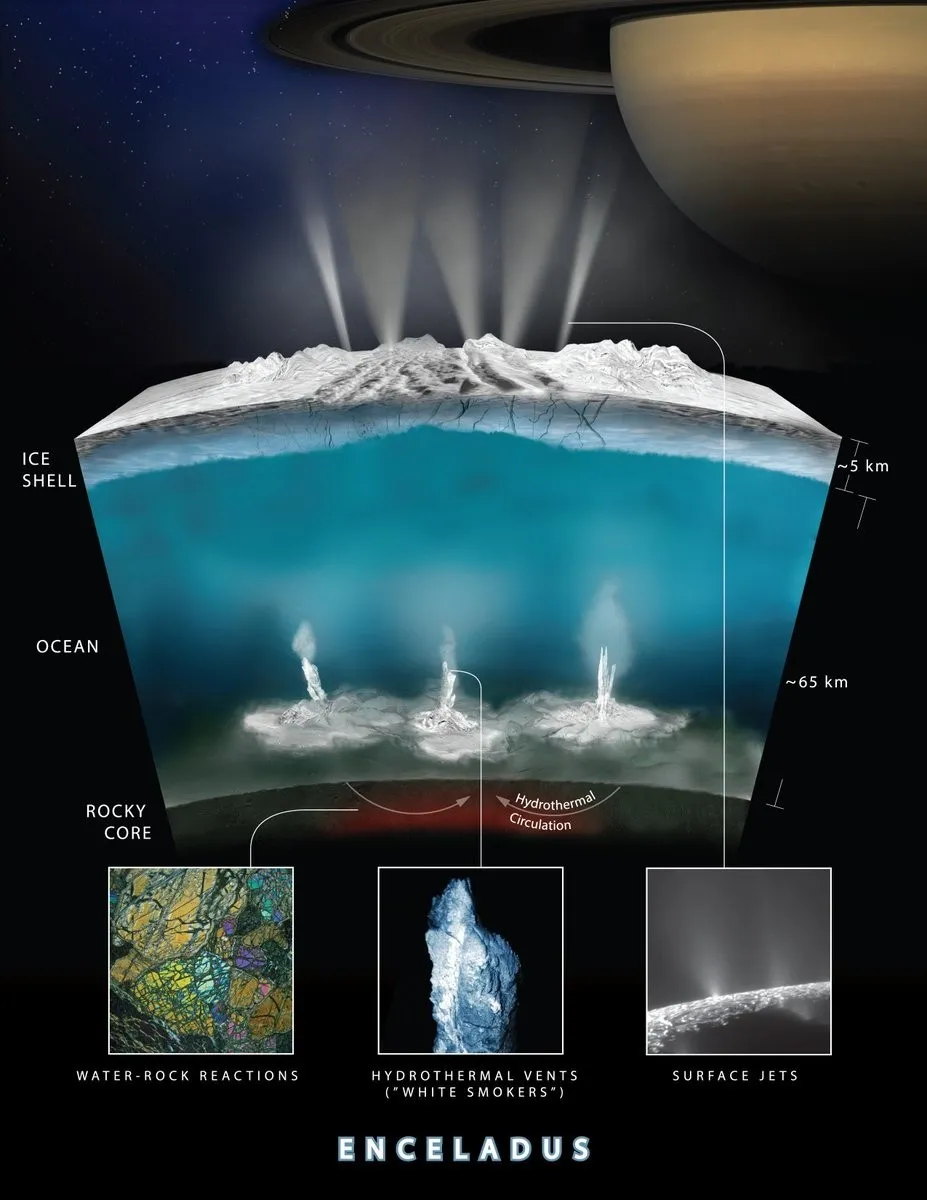 如果把微生物带到土卫二，它们可能会主宰这个星球