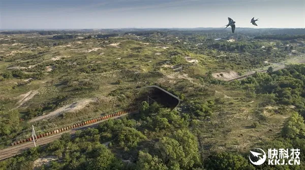 惊呆！世界各地的动物“生命之桥”：画面太震撼