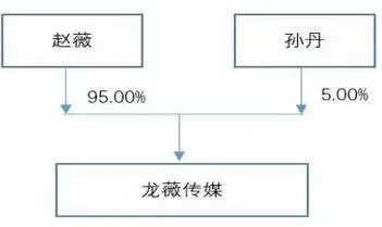 赵薇回应30亿收购万家文化，钱是自筹与阿里无关