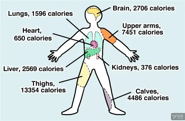 科学家惊人发现！古人吃人肉真相：颠覆认知