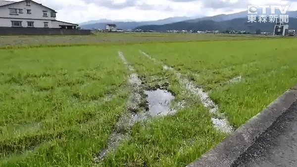 交车第2天兰博基尼飞入农田 农民吓傻了