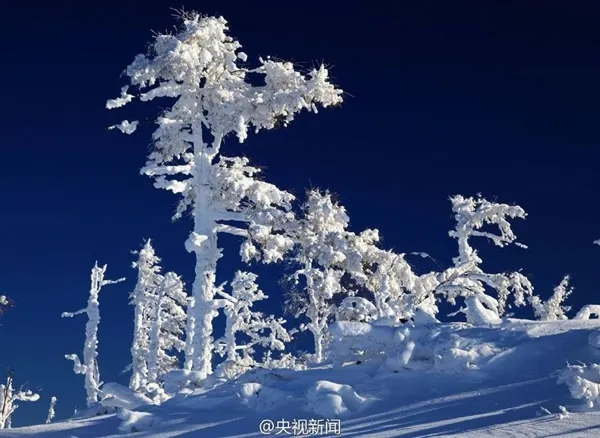 极寒、极景：零下40度的大兴安岭林海雪原