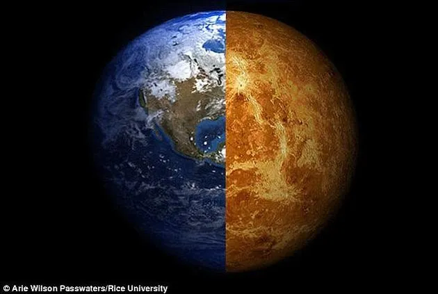 远古金星或存浅海孕育生命：温度曾比地球还低