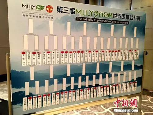 AI首次参加围棋世界大赛 柯洁：我不支持但也没办法