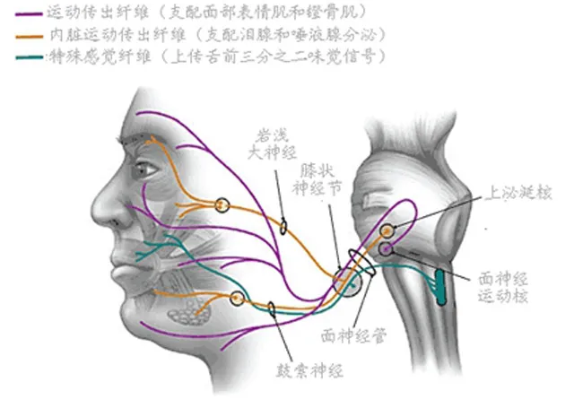 别以为空调啥都好！使用不当能把你吹面瘫