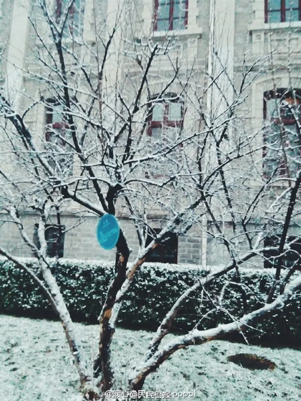 北京初雪如约而至 网友开启晒图模式