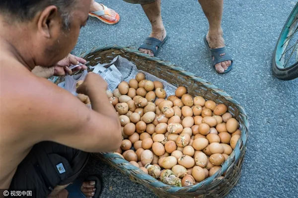 活久见：马路高温50度 商贩露天孵小鸡