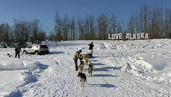 九只阿拉斯加雪橇犬齐力拉出被困越野车：画面有爱