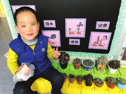 幼儿园老师让带“肉肉” 一萌童真的带来块肉