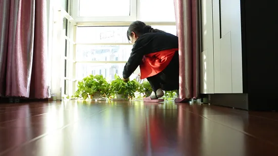 当互联网遇上保洁，这个东北阿姨有话说丨年终策划