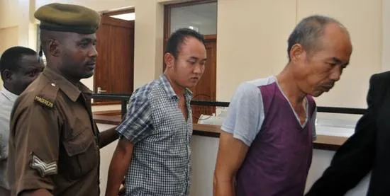 2名中国男子坦桑尼亚走私象牙：被罚3.26亿元