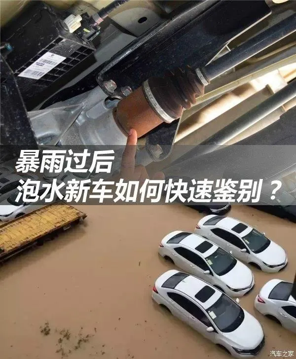 南方暴雨害惨本田 如何快速鉴别泡水车？