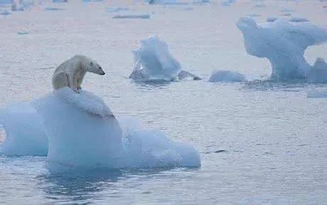 全球海洋持续变暖又添新证