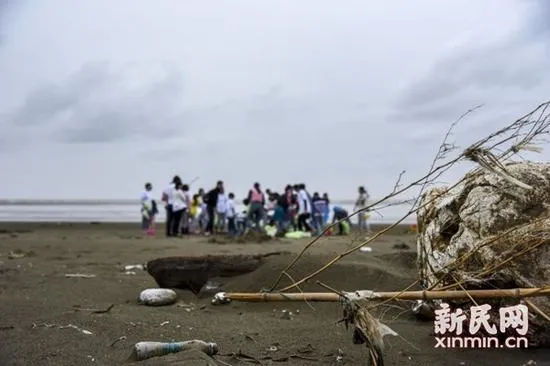 江苏海滩小江豚凄惨死亡：浑身缠满塑料袋