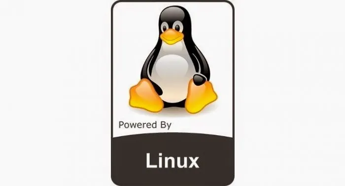 Linux Kernel 4.11 RC6发布：如无意外本月23日发布正式版
