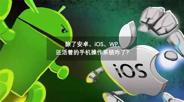 除了安卓、iOS、WP 还活着的手机操作系统咋了？