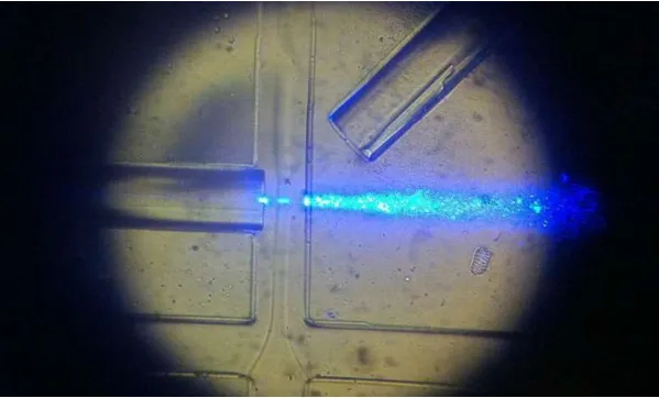 科学家开发3D设备，定量检测血液中的肿瘤细胞