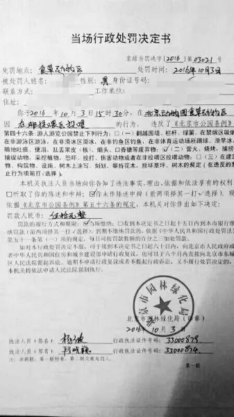 游客乱喂食斑马生病：国内动物园开出第一罚单