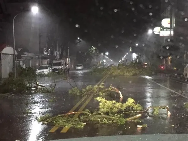 台风登陆台湾风速破表：大楼吹得“像地震”