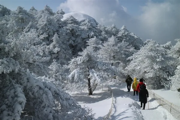 安徽黄山降雪达40厘米 美若童话世界