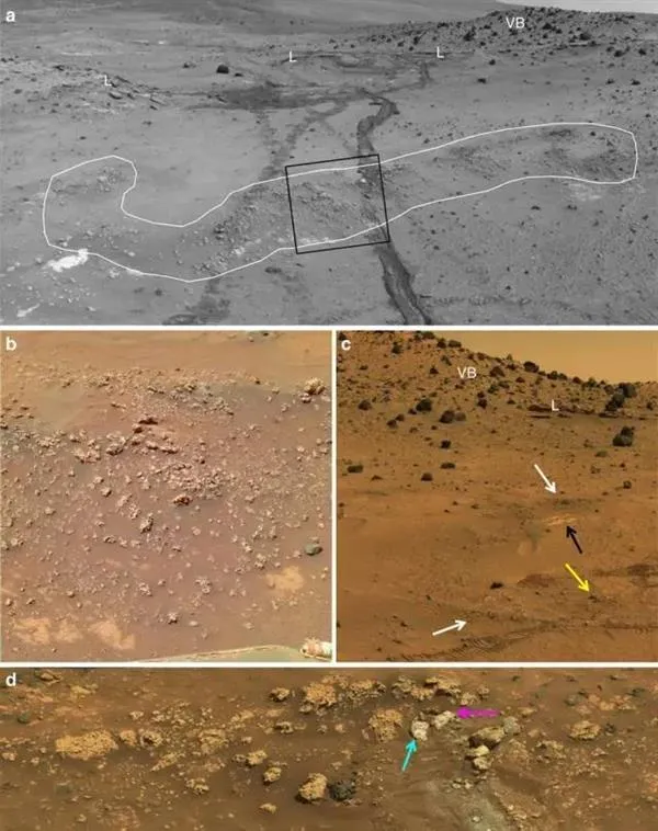 勇气号立功 可能找到了火星生物的遗迹