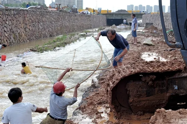 画面带感！暴雨后市民蜂拥下河抓鱼：挖掘机蚊帐上阵