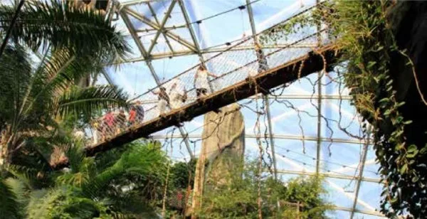 [图]亚马逊建造巨大穹顶栽满稀有植物