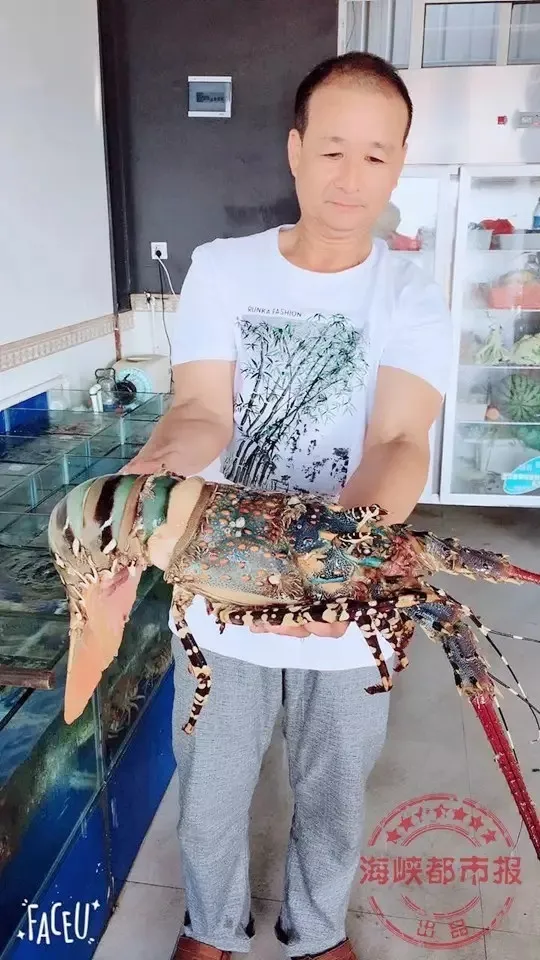渔民意外捕获七彩“神虾” 一条值百万