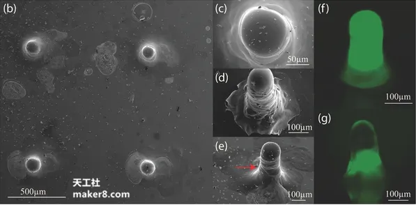 科学家3D打印出可在人体内运动的蚕丝微型火箭