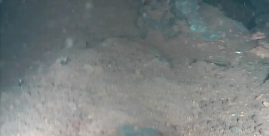 水下机器人拍摄到福岛核反应堆疑似熔落核燃料