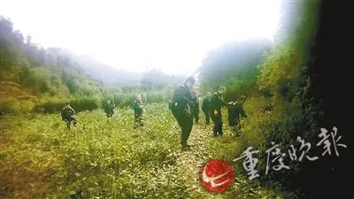 200斤野猪下山扰民 被特警一枪击毙(图)