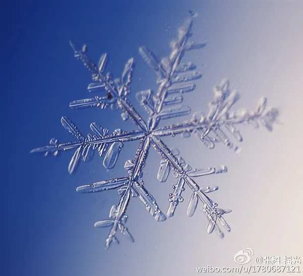 100倍目视倍率下的北京雪花：美的让人惊叹！