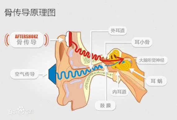 嗨！Siri，用“手指”来拨通一个电话吧