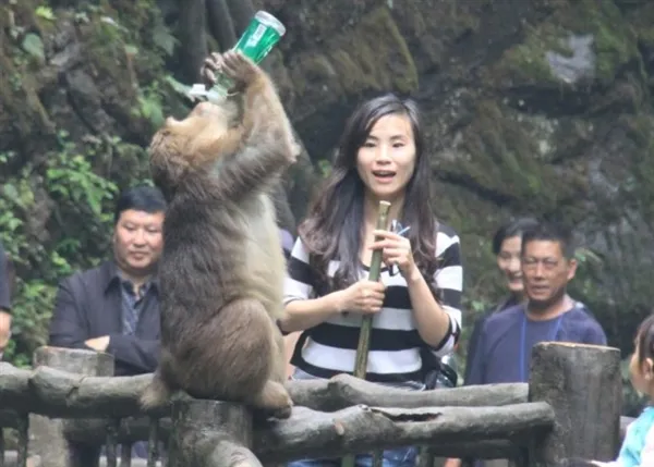 峨眉山：全球属猴华人猴年无限次免票