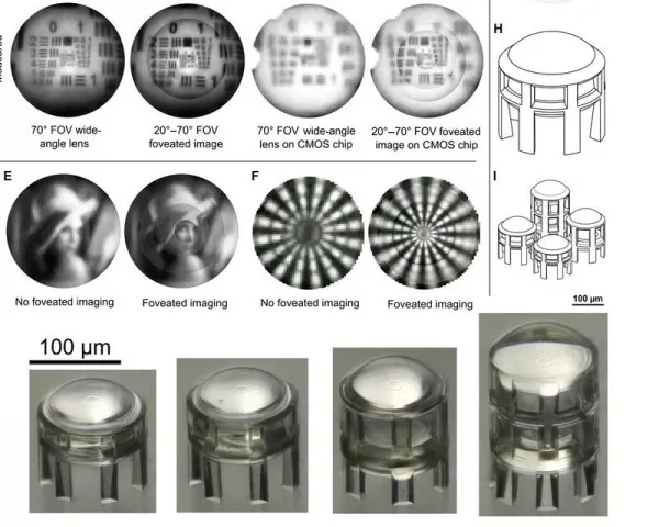 微小的3D打印镜头将帮助机器人获得老鹰和人类视力